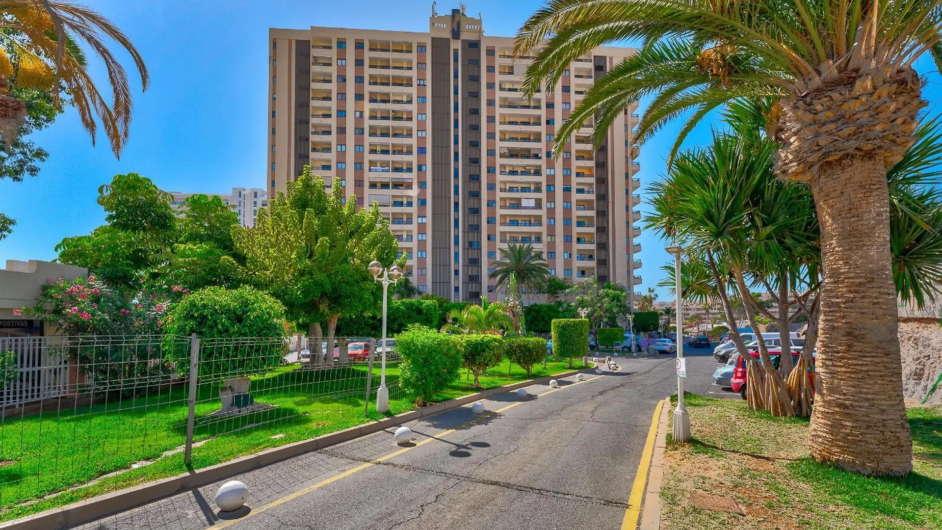 דירות אדחה 14Th Floor Sea View 0*,